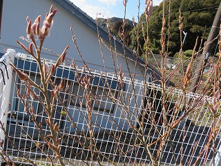 img_210131100633.jpg