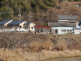 img_210131105106.jpg