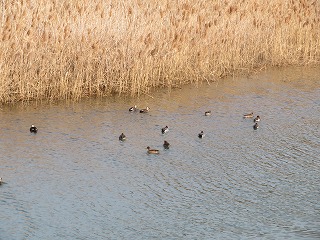img_210131105127.jpg