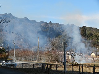 img_210131124131.jpg