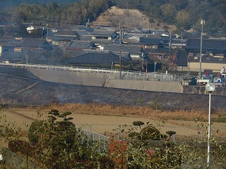 img_210131124206.jpg