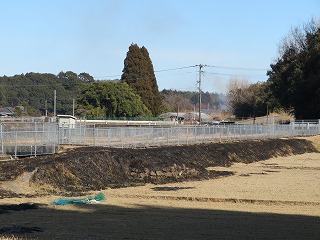 img_210131124230.jpg