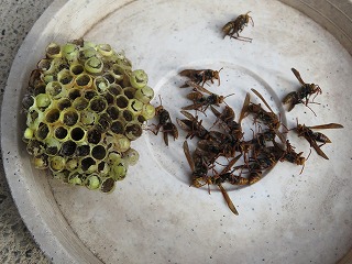 img_210131125842.jpg