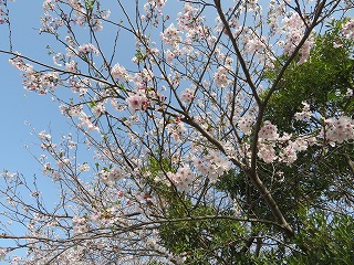 img_210331123631.jpg