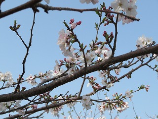img_210331123647.jpg