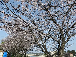 img_210331123710.jpg