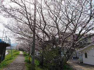 img_210331123731.jpg