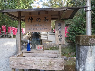 img_210331143950.jpg
