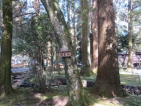 img_210331144041.jpg