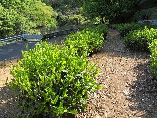 img_210430094909.jpg
