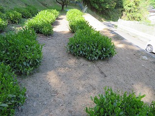 img_210430094933.jpg