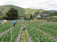 img_210430130317.jpg
