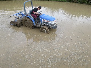 img_210430131826.jpg
