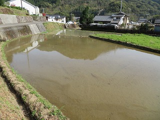 img_210430131843.jpg