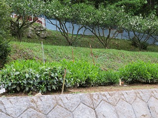 img_210430132404.jpg