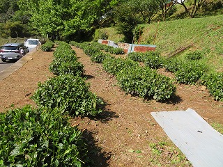 img_210430132439.jpg