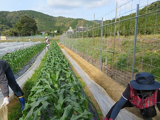 img_210430135317.jpg