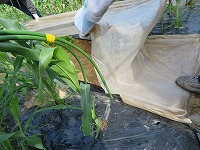img_210430135342.jpg