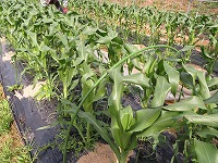 img_210430135359.jpg