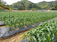 img_210430135421.jpg