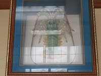 img_210531093257.jpg