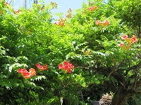 img_210531094008.jpg