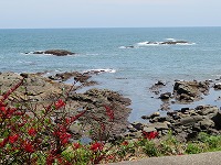 img_210531094028.jpg