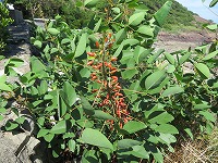 img_210531094040.jpg