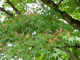 img_210531104759.jpg