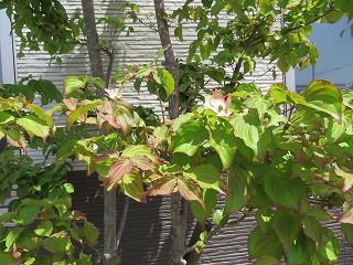 img_210531144037.jpg