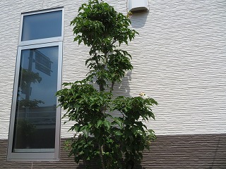 img_210531144128.jpg