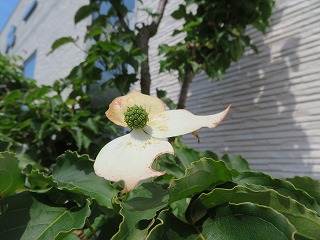 img_210531144143.jpg