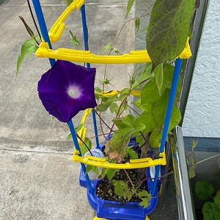 img_210731095545.jpg