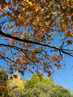 img_211231092735.png