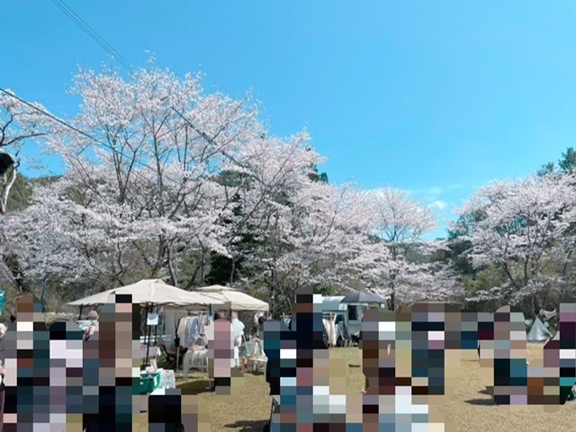 img_220331233215.jpeg