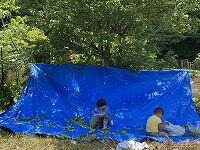 img_220630095250.jpg