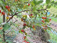 img_220630095800.jpg