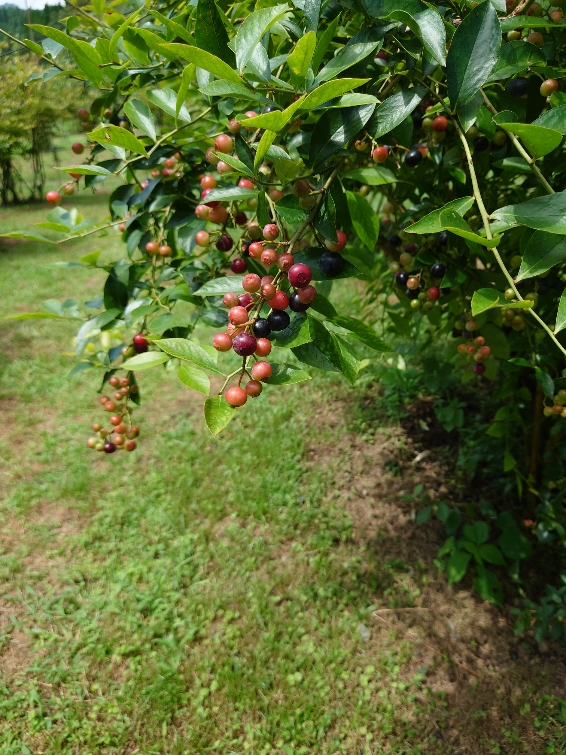 img_220831153536.png