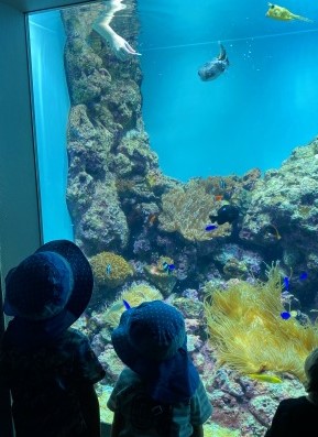 img_220930105454.jpg