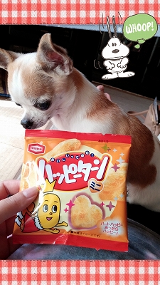 ひめちゃん