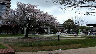 部長