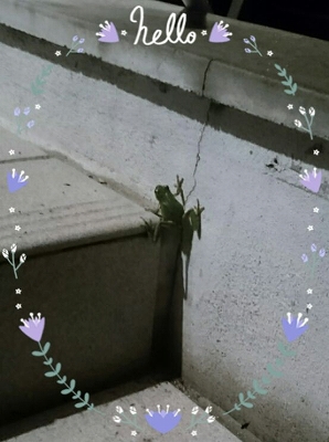 よじ登る