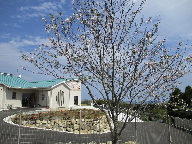 4月初め