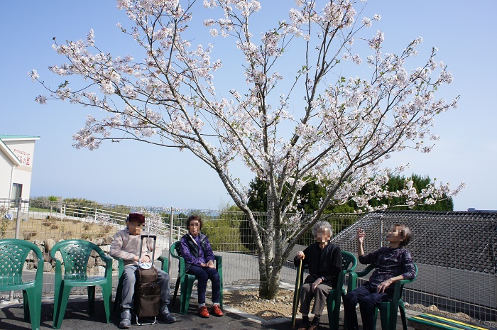 花見2018