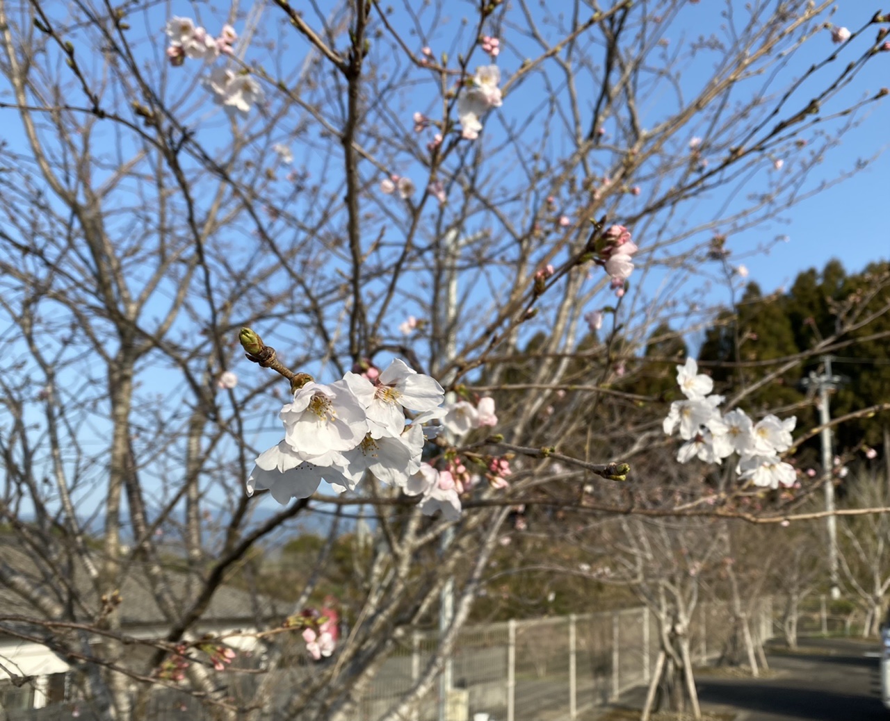 img_220331212353.jpeg