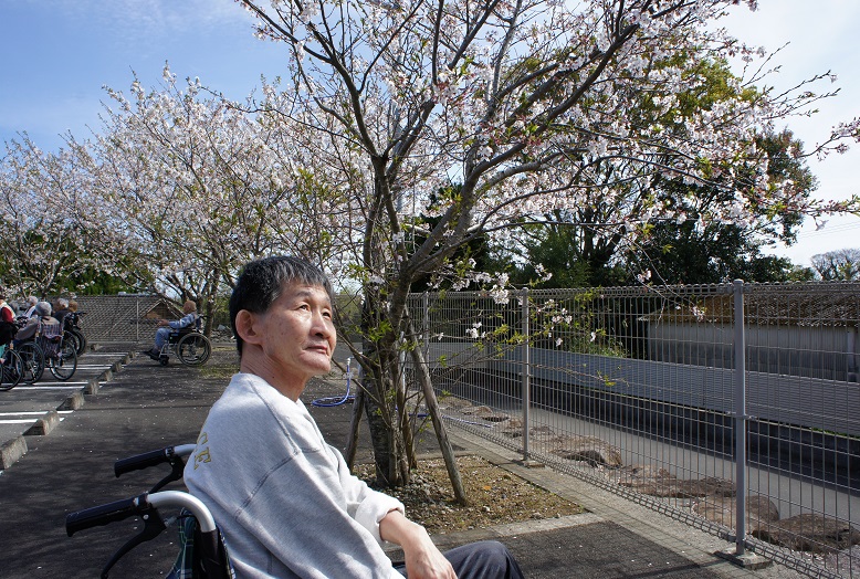 2022.04お花見