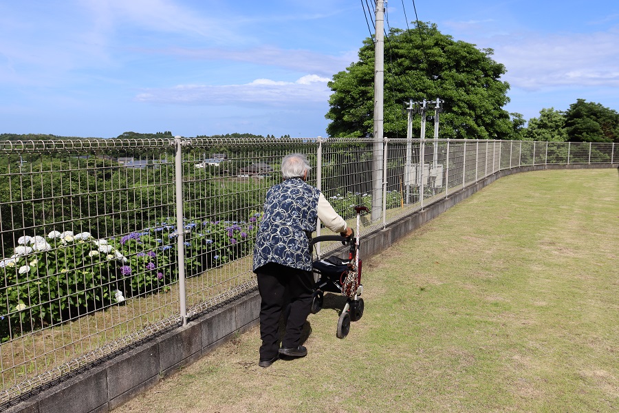 2024.06 あじさい祭り