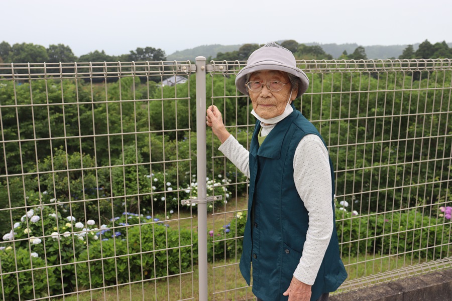 2025.06 あじさい祭り